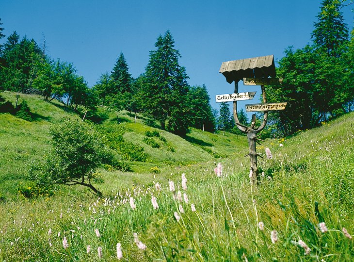 Wanderweg im  Erzgebirge © FVV Erzgebirge