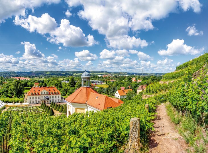 Schloss Wackerbarth © Sina Ettmer - adobe.stock.com