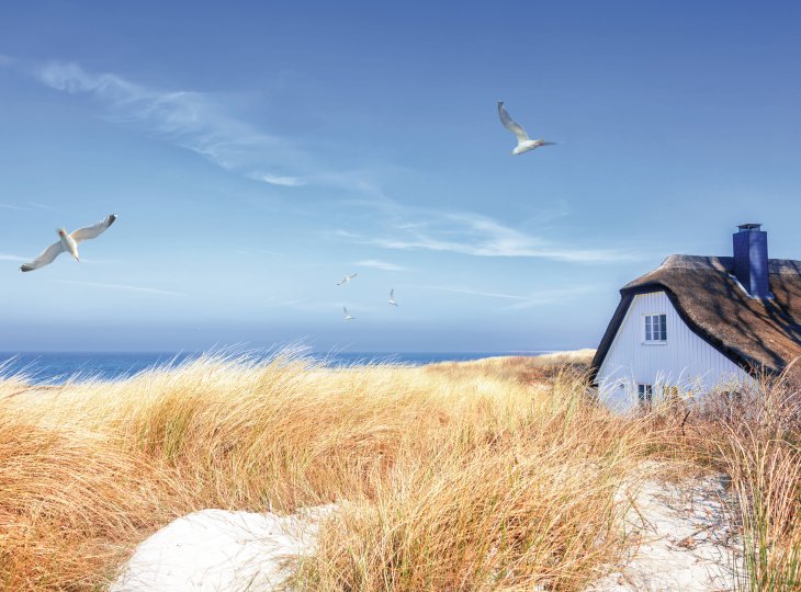 Haus in den Dünen bei Ahrenshoop auf dem Darß © Nordreisender-fotolia.com