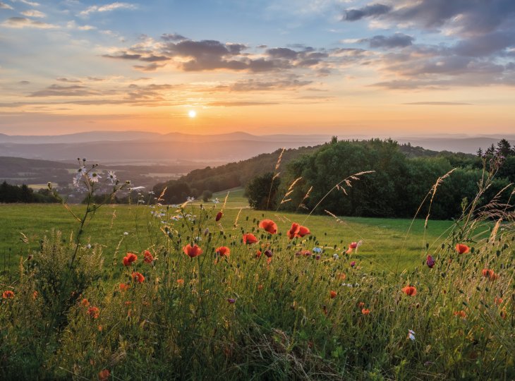 Schöner Sonnenaufgang in der Rhön © Eduard-stock.adobe.com