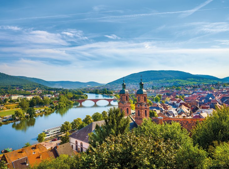 Blick auf Miltenberg am Main © borisbelenky-stock.adobe.com