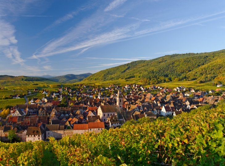 Elsass Riquewihr