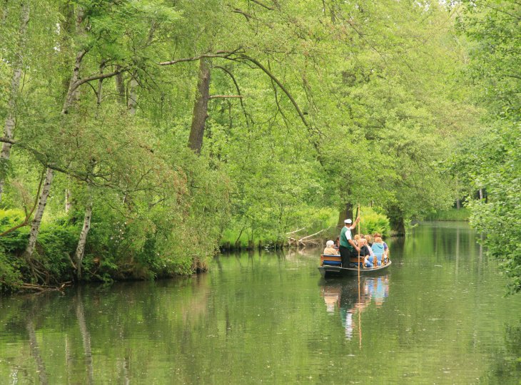 Kahnfahrt ihm Spreewald © KMPhoto - Fotolia.com