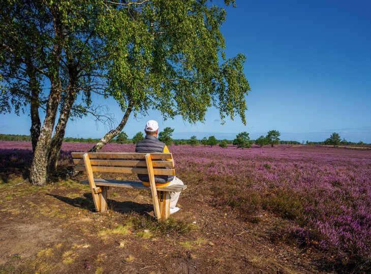 Rast in der Lüneburger Heide © RuZi - stock.adobe.com