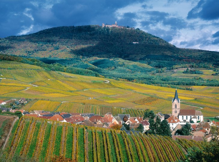 Weinberge Dorf Rodem und Haute Koenigsbourg © CRTA/Zvardon