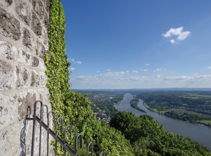 Blick vom Drachenfels auf den Rhein © Tobias Arhelger -fotolia.com